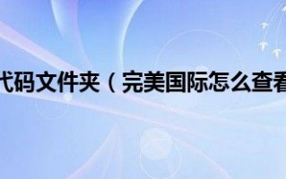  ,完美国际刺客怎么配5.0？上衣是4军上衣？
